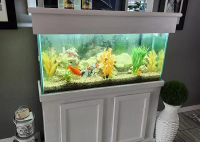 Remarkable Interior Painting